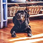 Dřevěný Prázdninový Sunrise Сasa de vacaciones Nova Hut