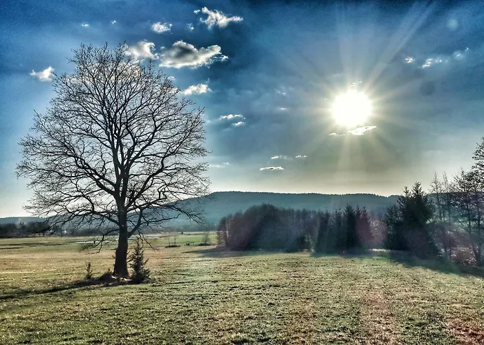 Dreveny Prazdninovy Sunrise
